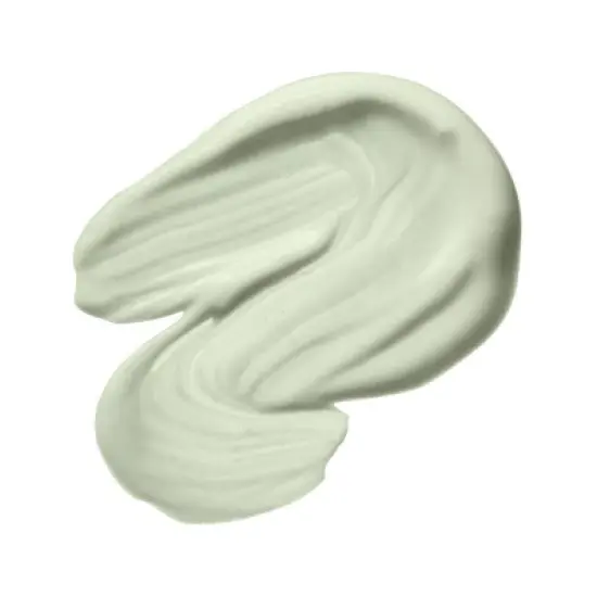 PUR The Complexion Authority 4-in-1 Correcting Primer Redness - 1 fl oz - Ulta Beauty image {1}