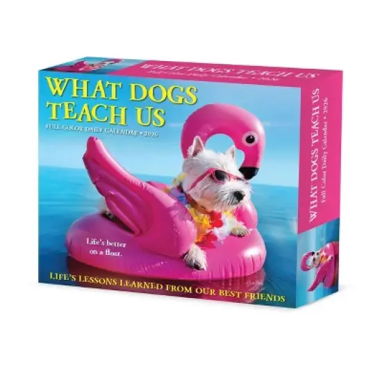 Willow Creek Press 2026 What Dogs Teach Us Box Calendar image {6}