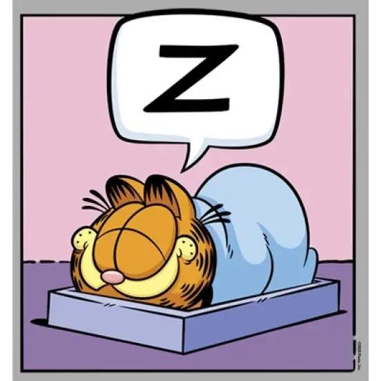 Boy's Garfield Sleeping Cat T-Shirt image {1}