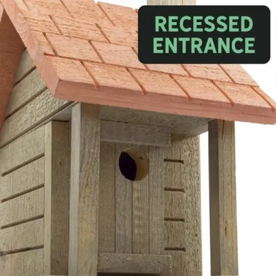 Uncle Dunkels Log Cabin Wren Birdhouse; Artisan-Crafted Wood Shelter for Small Birds image {7}