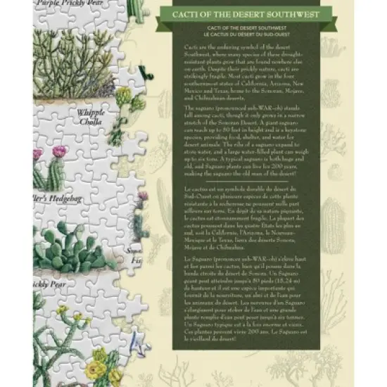 MasterPieces Inc Cacti of the Desert Southwest 1000 Piece Linen Jigsaw Puzzle image {1}