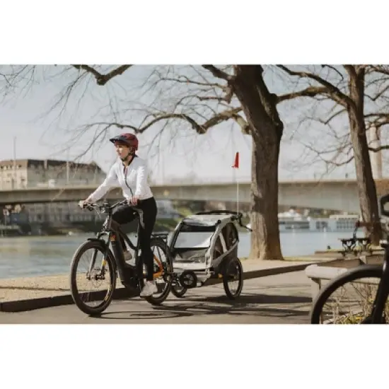 Burley D'Lite X Double Kids' Bike Trailer image {9}