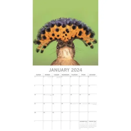 The Gifted Stationery 2024 Square Wall Calendar, Exotic Birds, 16-Month Animals Theme with 180 Reminder Stickers (12 x 12 In) image {1}