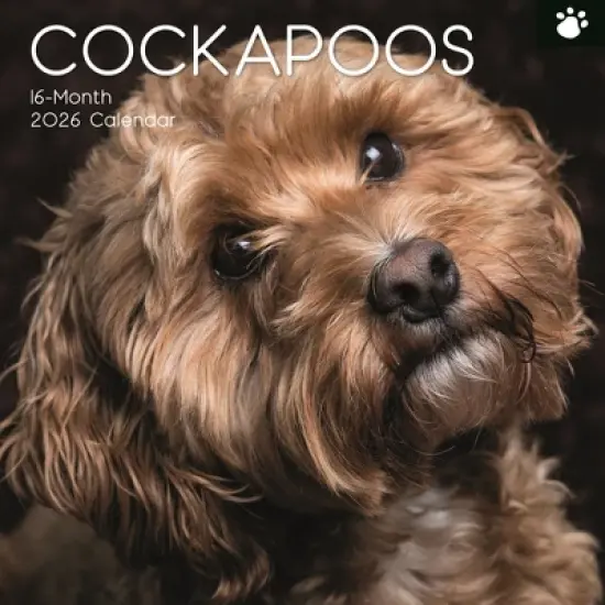2026 Square Wall Calendar, Cockapoos, 16-Month Animals Theme with 180 Reminder Stickers (12x12 In) image {4}