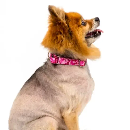 Country Brook Petz Pink Bone Camo Martingale Dog Collar image {5}