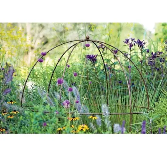 Gardeners Supply Company Jardin Bird Cage Plant Support | Large Sturdy Grow-Through Steel Flower Trellis and Garden Decor | Best to Support Peonies, image {3}