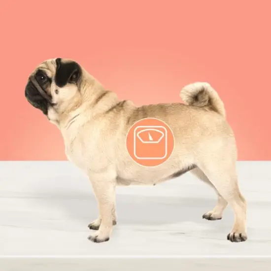 Blue Buffalo True Solutions Fit and Healthy Weight Control Chicken Flavor  Adult Dry Dog Food image {2}