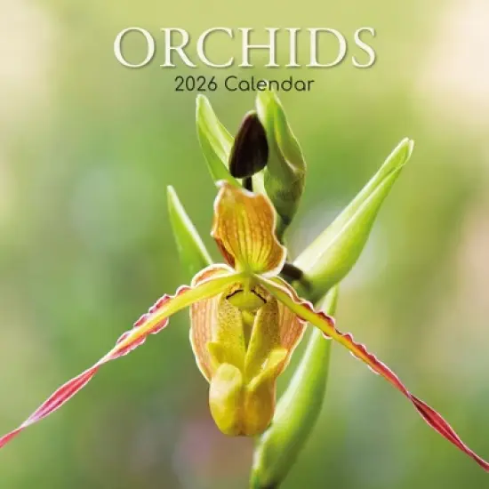2026 Square Wall Calendar, Orchids, 16-Month Floral Theme with 180 Reminder Stickers (12x12 In) image {4}