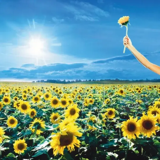 Stone Temple Pilots - Thank You image {4}