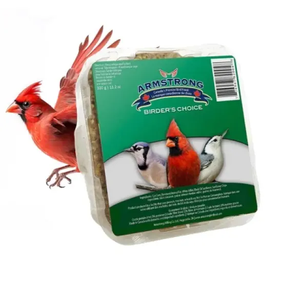 Armstrong Wild Bird Food Birder's Choice Suet Cake, 11.3oz (Pack of 12) image {1}