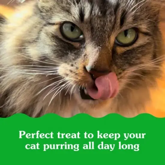 Greenies Smartbites Skin and Fur Health Chicken Flavor Cat Treats image {7}