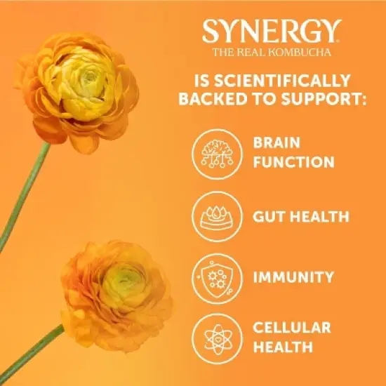 Synergy The Real Kombucha, Gingerade &ndash; 16 fl oz image {5}