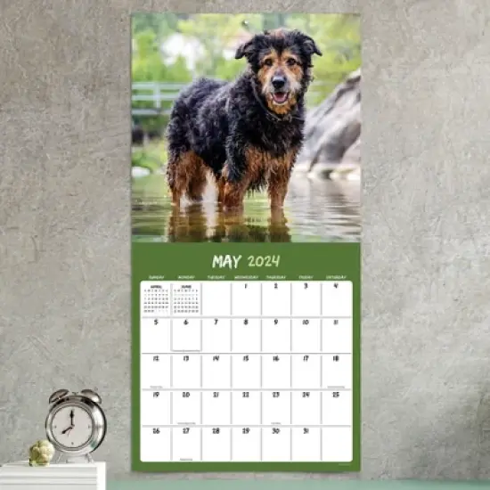 TF Publishing 2024 Wall Calendar 12"x12" Mutts image {2}