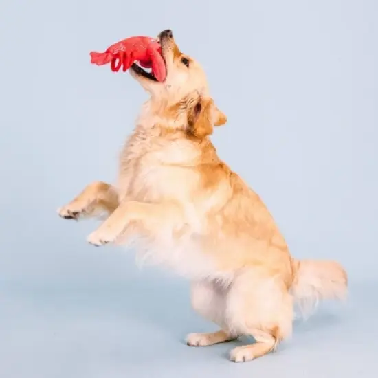 PetShop by Fringe Studio You're My Lobster Plush Dog Toy image {2}