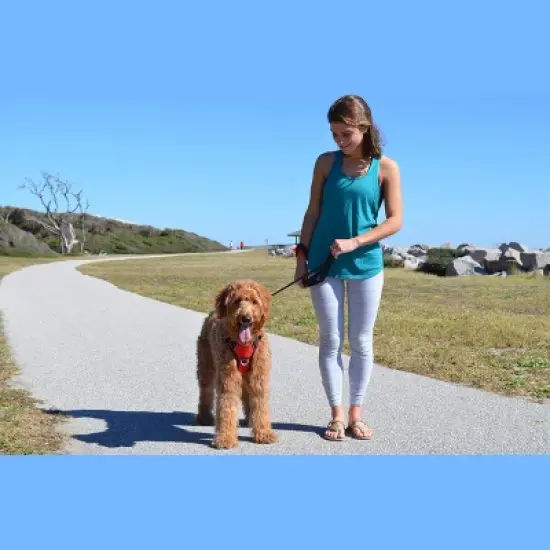 Black Rhino Adjustable Dog Harness with Mesh Padded Vest, Small, Aqua image {3}