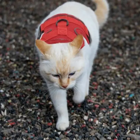 Unique Bargains Cat Harness and Leash with Reflective Strips Large Red 1 Set image {5}