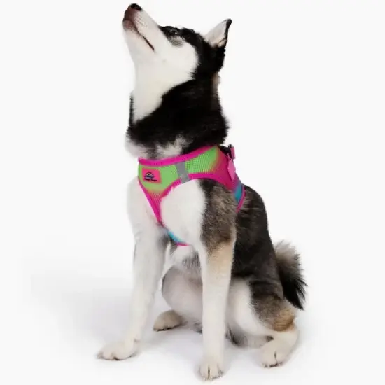 Doggie Design American River Choke Free Dog Harness Ombre Collection-Cotton Candy image {2}