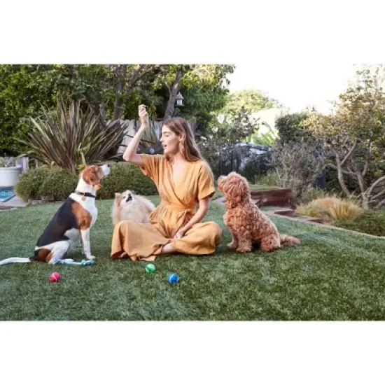 Full Moon Beef Jerky Dry Dog Treats - 11oz image {2}