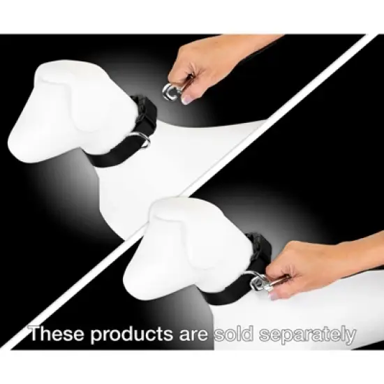 Country Brook Petz 6ft By 3/4 Inch Heavyduty Doublehandle Nylon Leash image {5}