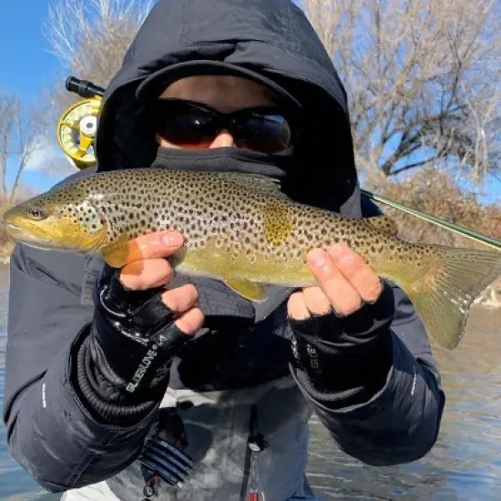 Glacier Glove Cold River Fingerless Softshell Gloves image {1}