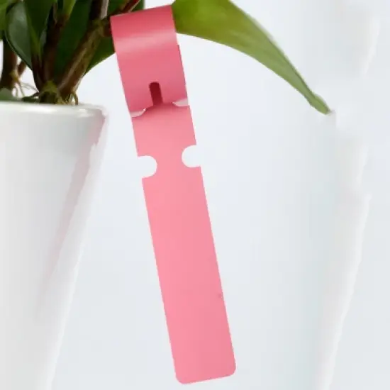 100 PCS White Gardening Plant Sapling Seed Hanging Tree Labels &ndash; Durable Garden Markers image {2}