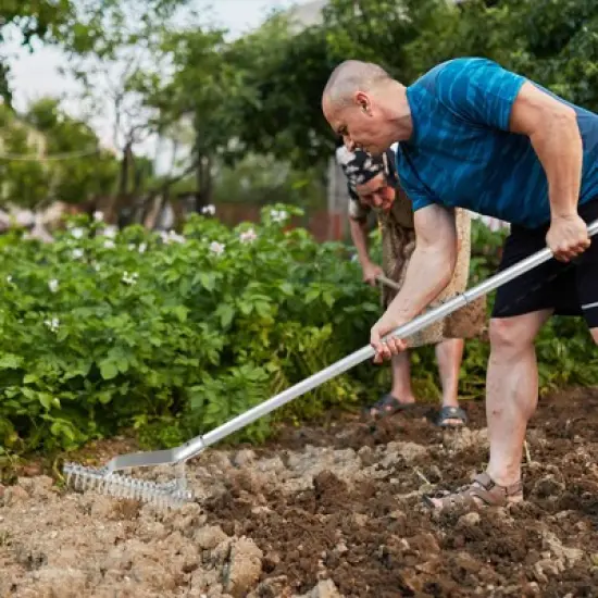 Tangkula 70" Garden Thatch Rake w/ Long Handle & 19 Curved Tines image {3}