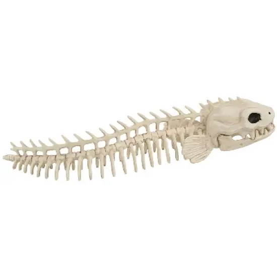 Seasons USA Eel Skeleton Prop Halloween Decoration -  - Off-White image {2}