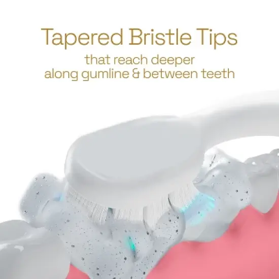 Colgate Total Active Prevention Battery Replacement Toothbrush Heads  - 2pk image {6}