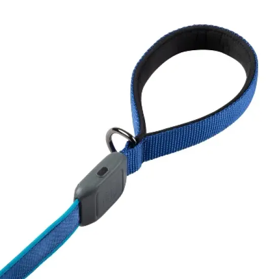 Nite Ize Nite Dog Rechargeable LED Dog Leash - Blue/Blue image {5}