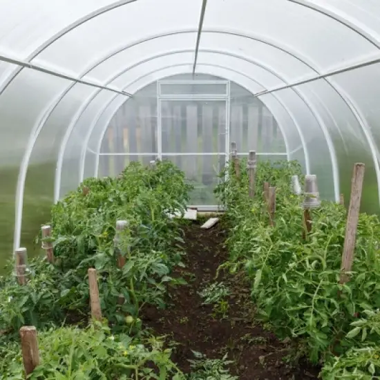 Okuna Outpost 6 Mil Greenhouse Plastic Sheeting Roll, 25x40 ft UV Resistant Polyethylene Cover for Agriculture and Farming Herbs, Vegetables, Flowers image {1}