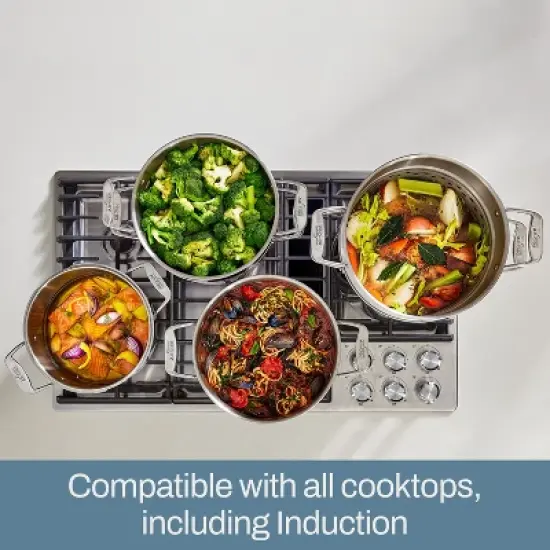 All-Clad 12 Quart Stainless Steel Multipot with Insert, Simply Strain, Silver image {4}