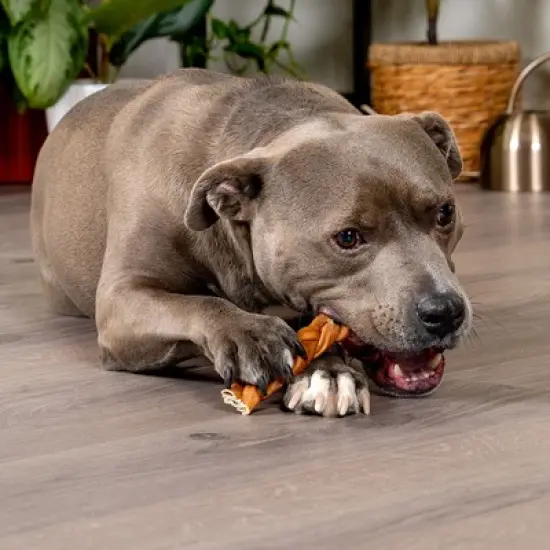 Pet Factory CareChewz Collagen Skinny Braid Sticks - 6-7", 15 Count image {4}