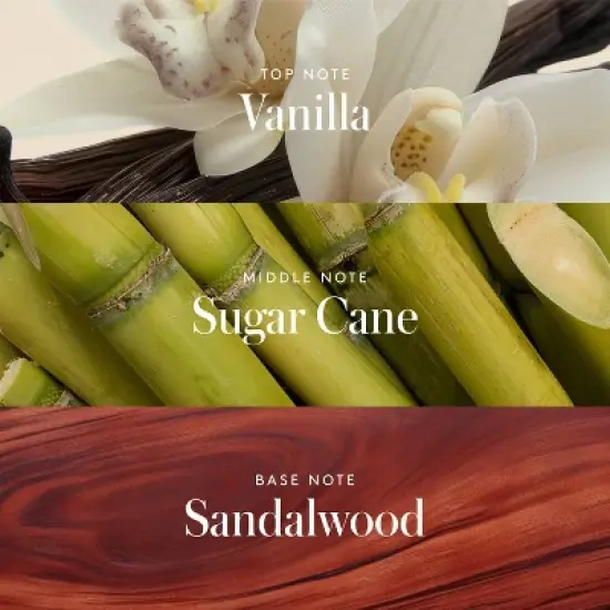 Athena Club All Over Solid Deodorant Golden Vanilla - 3oz image {4}