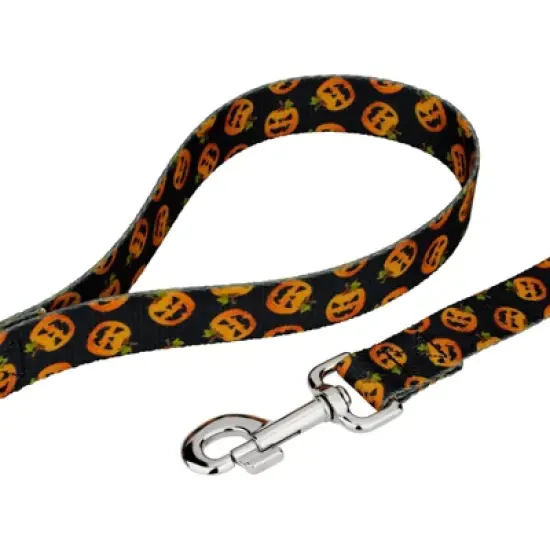 Country Brook Petz Happy Jack Martingale Dog Collar and Leash image {5}