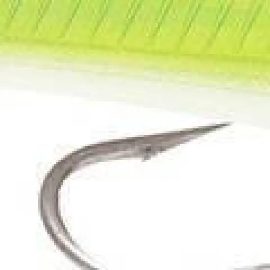 Rapala 4 3/4" X-Rap 12 Saltwater Fishing Lure image {2}