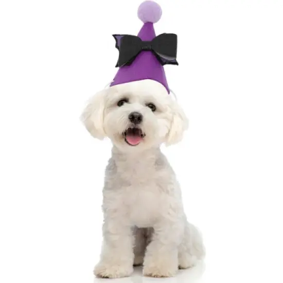 Unique Bargains Halloween Pet Headwear Hat 4.33"x4.33" Purple 1 Pc image {1}