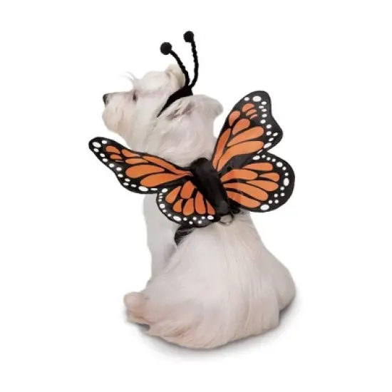 Zack & Zoey Butterfly Glow Harness Costume for Dogs image {1}