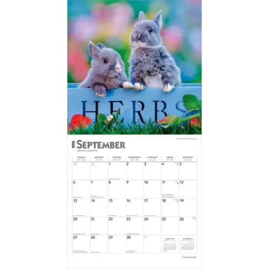 BrownTrout Honey Bunny 2026 12"x24" Hanging Square Wall Calendar Plastic-Free image {3}