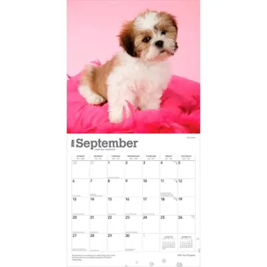 BrownTrout Shih Tzu Puppies 2026 12"x24" Hanging Square Wall Calendar Plastic-Free image {3}