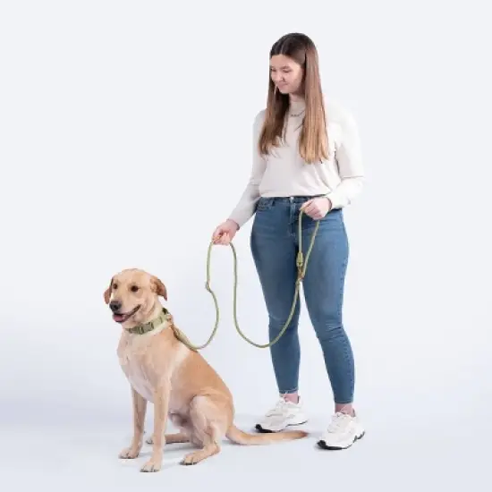 AWOO Infinity Multifunctional Recycled Dog Leash - 7ft image {1}