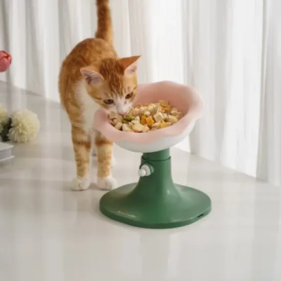 FairyLand&trade; Adjustable Elevated Cat Bowl &ndash; Ergonomic Tilted Raised Food & Water Dish, Flower Design, Anti-Vomit Feeding image {1}
