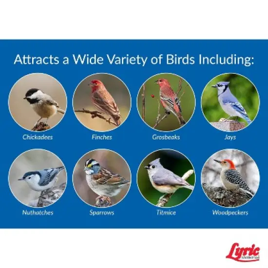Lyric 40lb Outside Bird Seed Feeder Wild Bird Food: Attracts Cardinals, Finches, Jays image {5}
