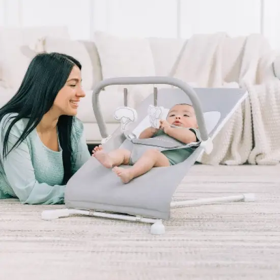 Baby Delight Highland Portable Baby Bouncer image {1}