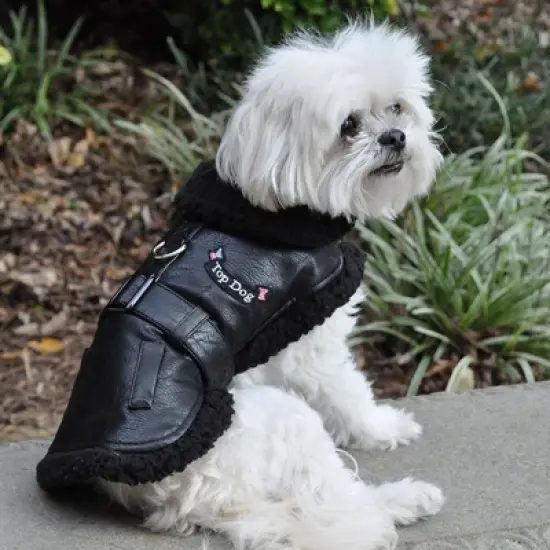 Doggie Design Top Dog Flight Harness Coat-Black image {2}