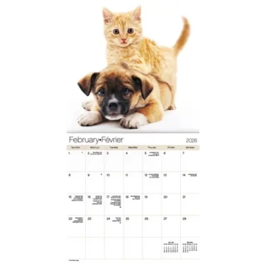 Trends International 2026 Buddies Bilingual French 12"x12" Wall Calendar image {2}