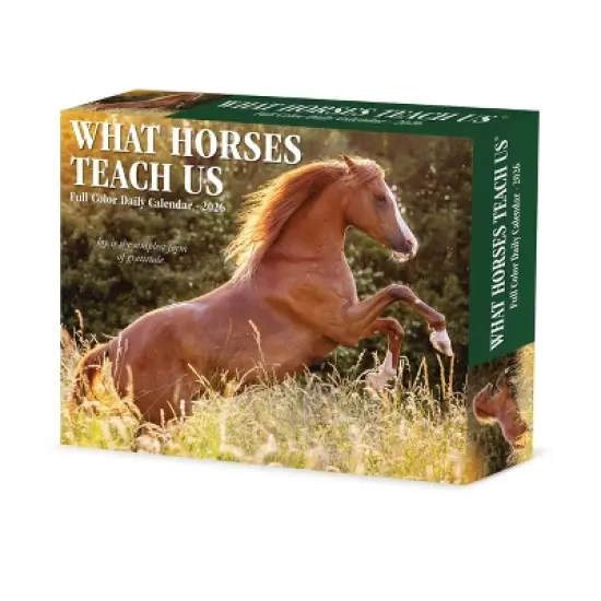 Willow Creek Press 2026 What Horses Teach Us Box Calendar image {6}