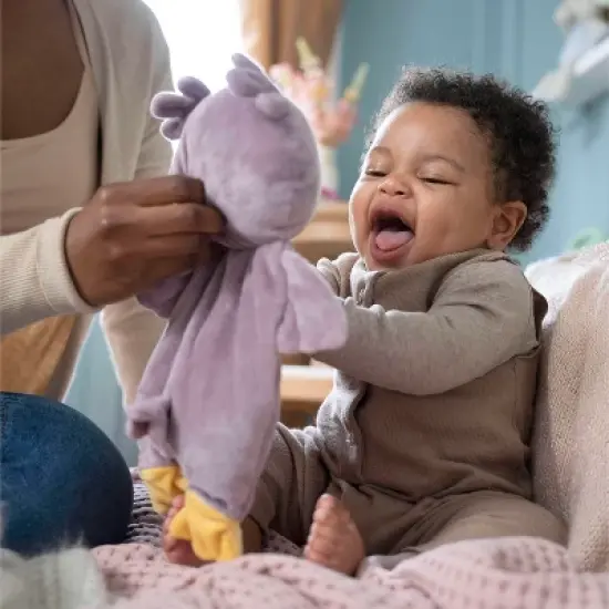 Ingenuity Bean Bag Lovey Crib Toy - Pink image {3}
