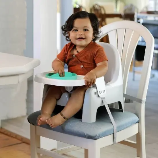 Summer Deluxe Learn-to-Dine Feeding Seat image {1}