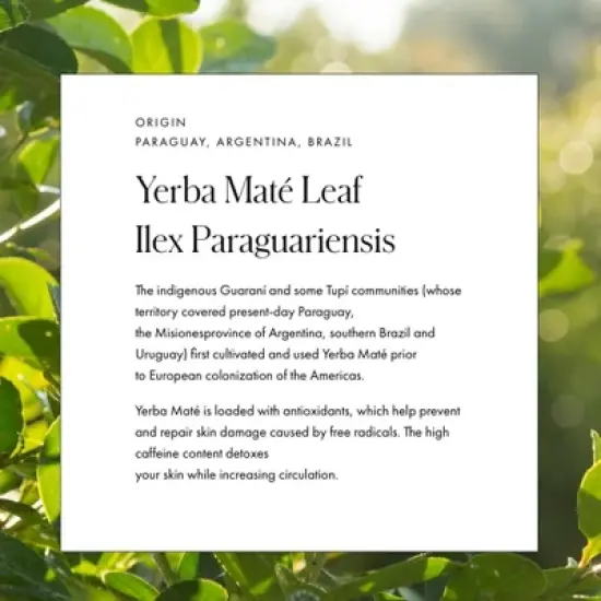 Vamigas Pampas Face Mist - 3.38 fl oz image {3}