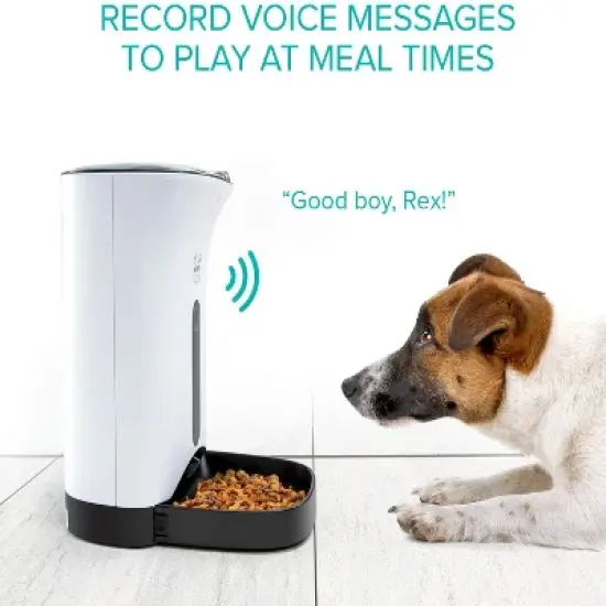 Arf Pets Automatic Pet Feeder, Cat & Dog Food Dispenser Bowl image {2}